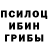 Галлюциногенные грибы прущие грибы Gero Leitner