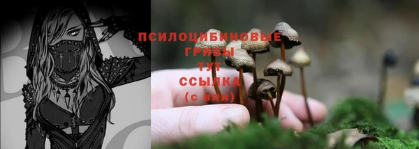 эйфоретик Богородск