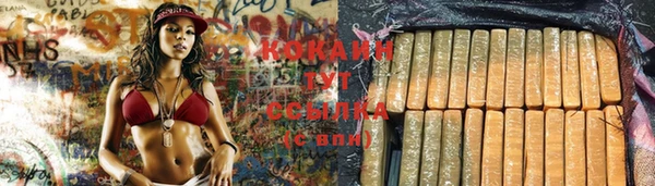 амф Бронницы