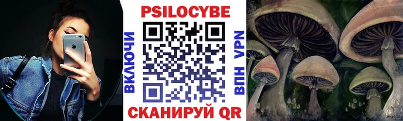 Псилоцибиновые грибы GOLDEN TEACHER  где найти   Донецк 